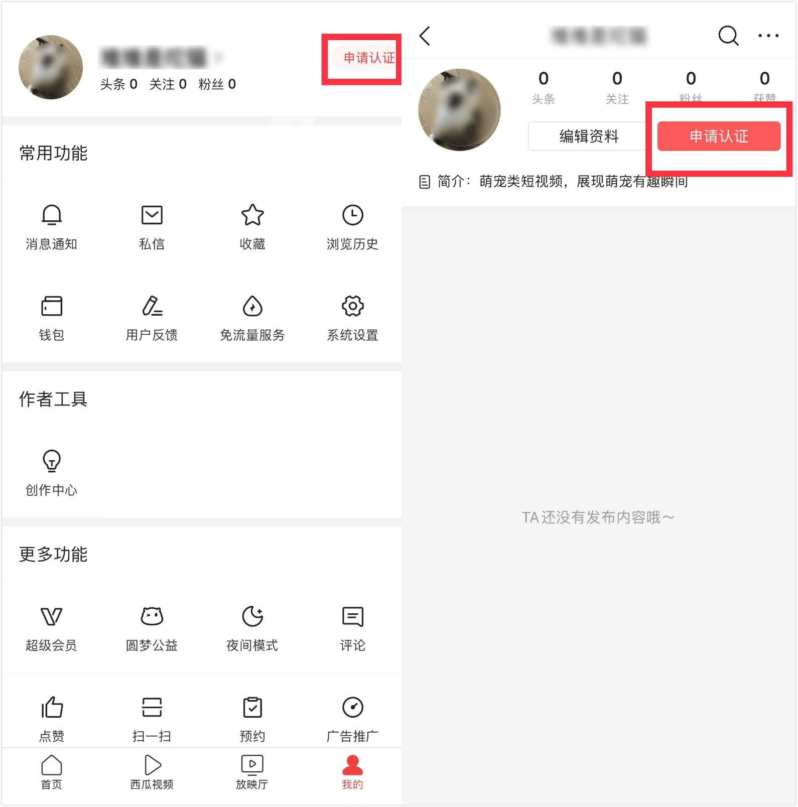 头条领域认证怎么通过(今日头条怎样认证领域创作者)
